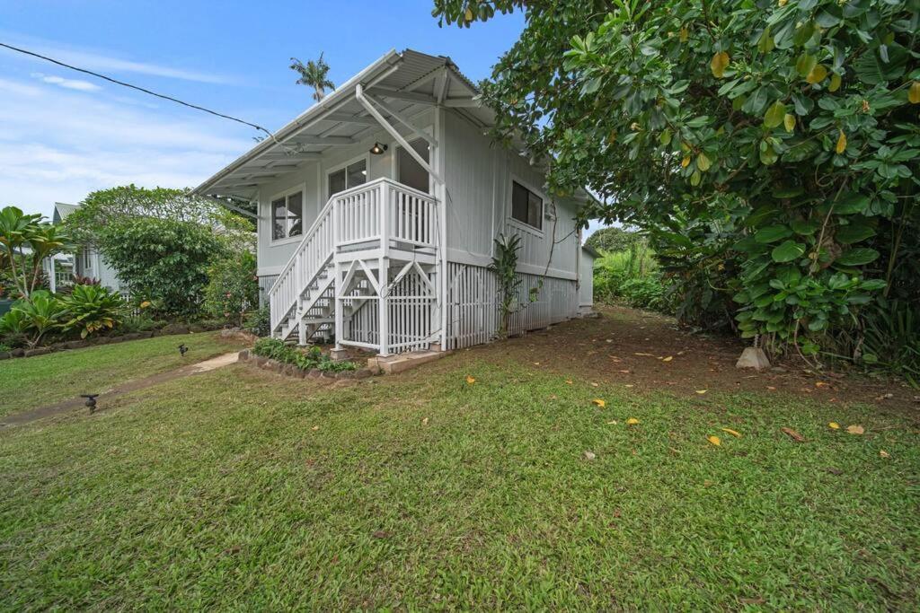 Peaceful Haven In Hilo 3Br House 빌라 외부 사진